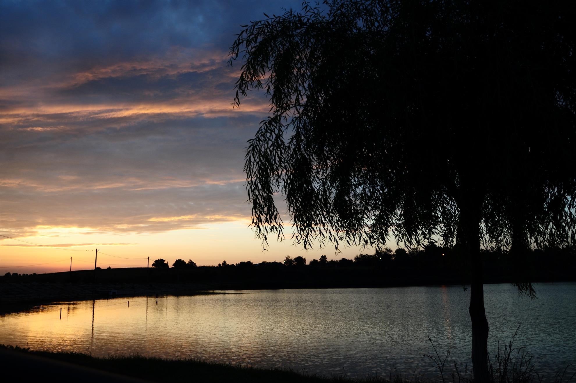 MV 2 - 09/06/2013 - dsc0008.JPG